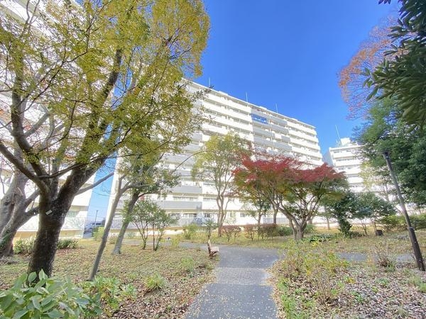 県ドリームハイツ17号棟