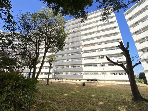 県ドリームハイツ17号棟