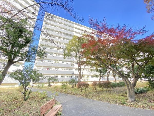 県ドリームハイツ17号棟