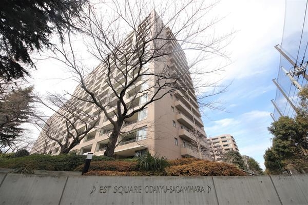 エステ・スクエア小田急相模原ステージI