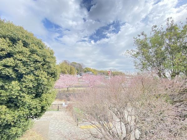横浜市泉区新橋町　新築戸建　全2棟　2号棟