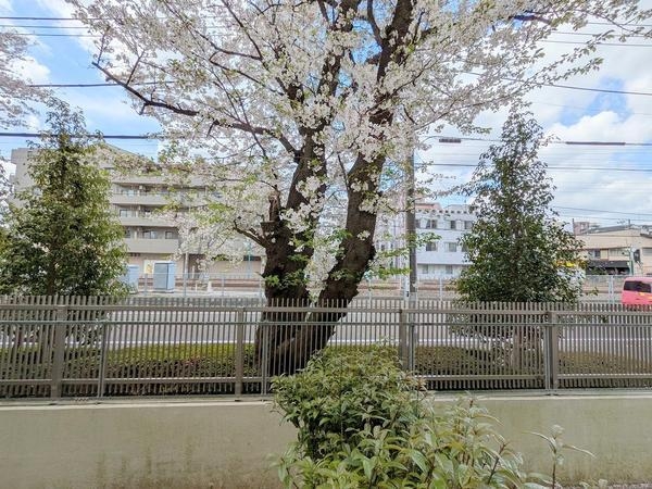 ライフコア東林間アネックス