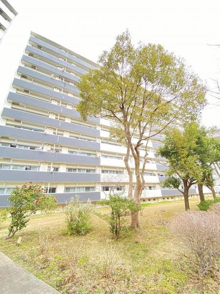 県ドリームハイツ17号棟