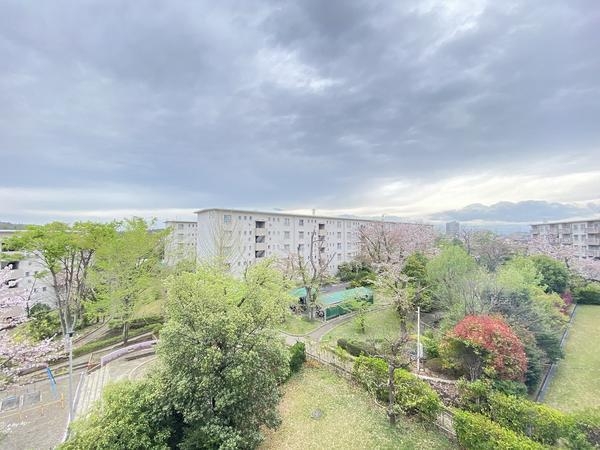 左近山団地2街区17号棟