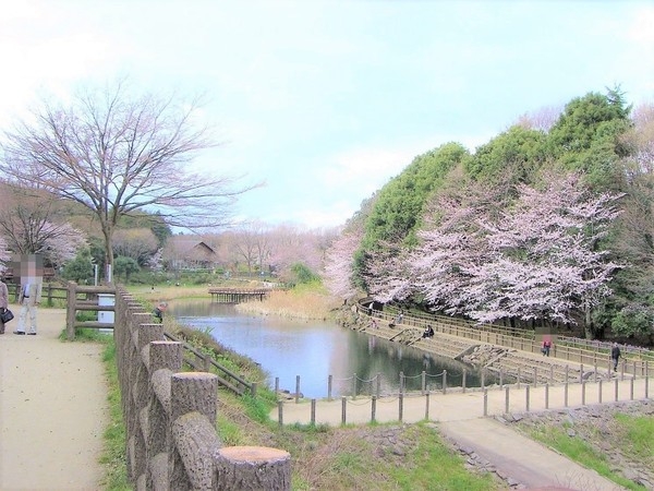 大和市上草柳８丁目の土地(ふれあいの森)