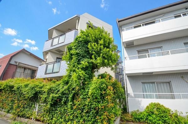 セザール第二相模原