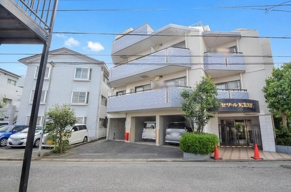 セザール第二相模原