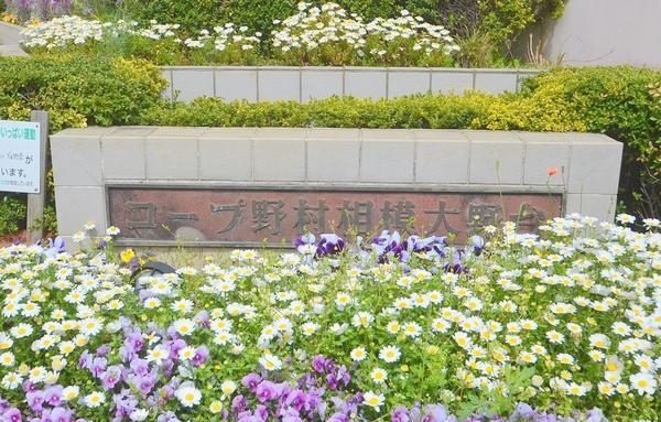 コープ野村相模大野台