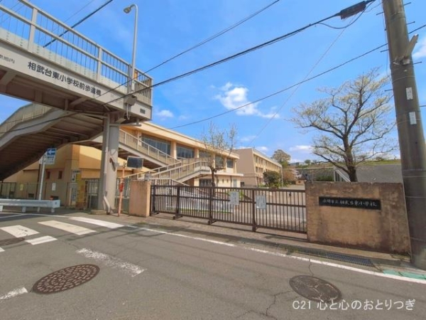 座間市相武台2丁目　新築分譲住宅(座間市立相武台東小学校)