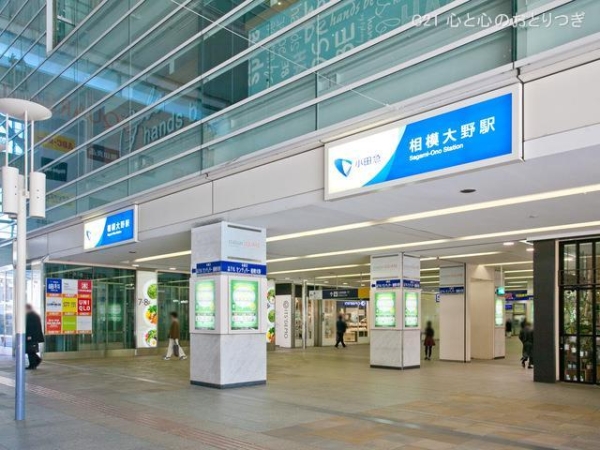 相模大野ハイライズ(相模大野駅(小田急　江ノ島線))