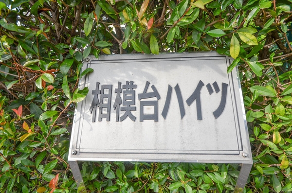 相模台ハイツＤ棟
