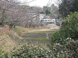 グレンパーク駒場(駒場野公園)