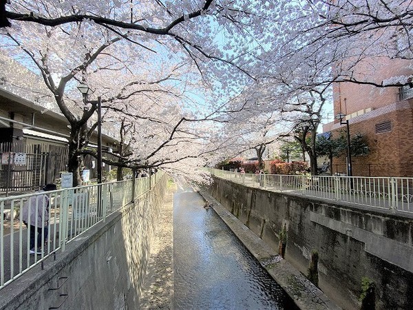 高井戸永谷マンション(高井戸駅桜並木)