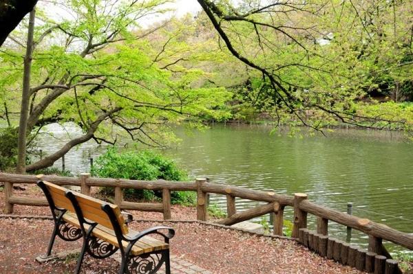 杉並区松庵1丁目の土地(井の頭恩賜公園)