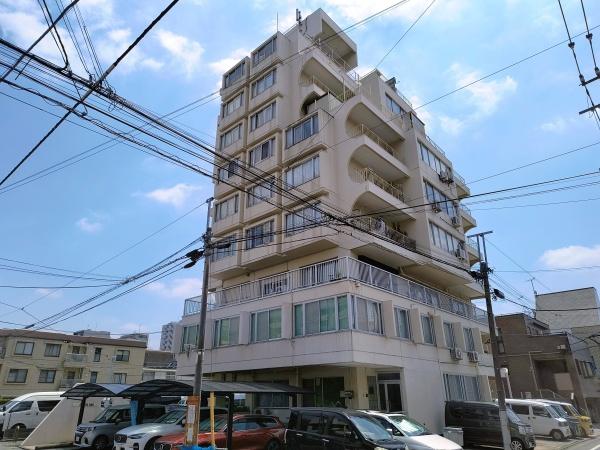 ヴィレッタ菊