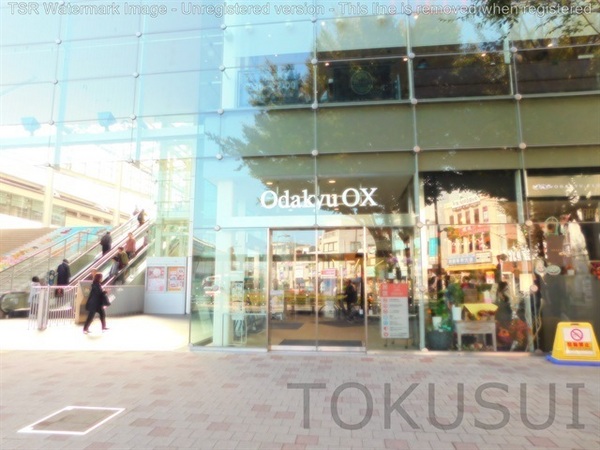 ヴェノス経堂(OdakyuOX経堂店)
