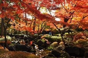 杉並区荻窪１丁目の中古一戸建て(大田黒公園)