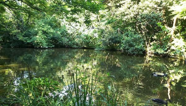 レイヤーズハウス杉並善福寺川公園(東京都立和田堀公園)