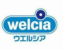 富士見ハイムN棟(ウエルシア中野富士見町駅前店)