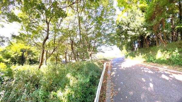 佐倉市城の土地