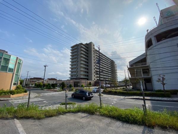 ミオカステーロ大網白里
