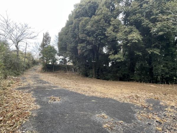 印旛郡酒々井町酒々井の土地