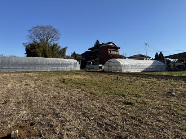 印西市荒野