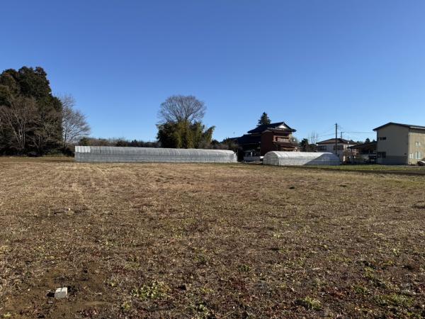 印西市荒野