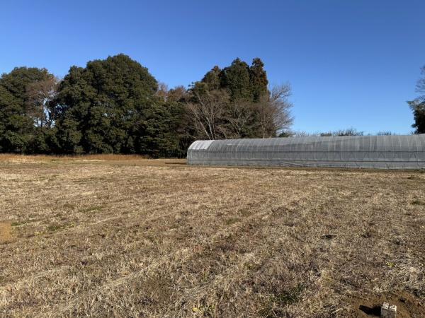 印西市荒野の土地