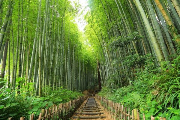 佐倉市表町2丁目の中古一戸建て(ひよどり坂)