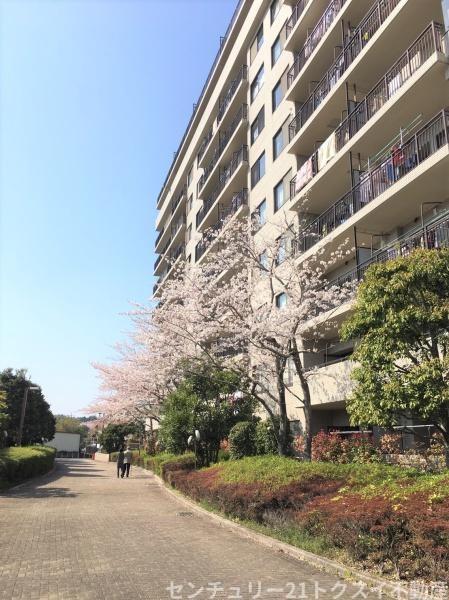 モアクレストアルファス佐倉