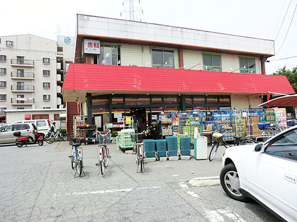 八千代市八千代台東　新築戸建　全２棟　２号棟(スーパーチェーンカワグチこてはし南店)
