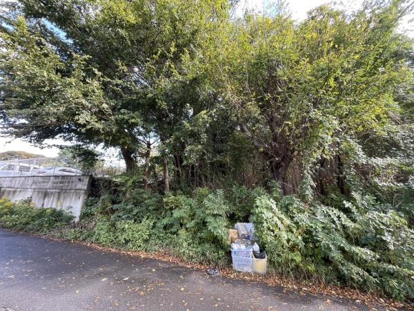 上志津原　土地