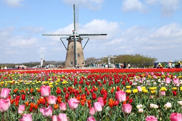 佐倉市江原台２丁目の中古一戸建て(佐倉ふるさと広場)