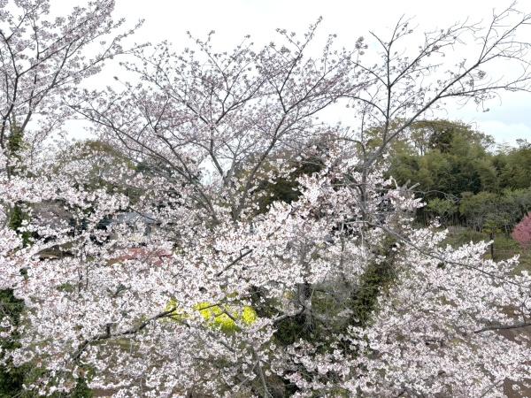 佐倉市臼井田の中古一戸建て