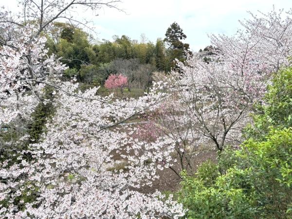 佐倉市臼井田の中古一戸建て