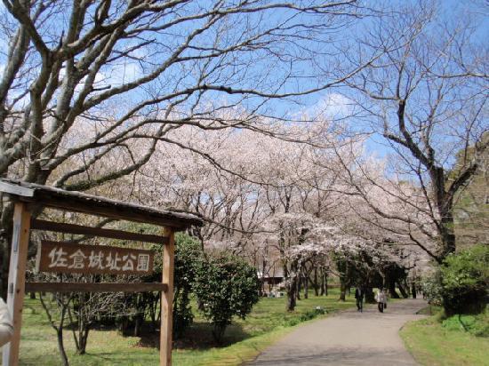 京成サンコーポ佐倉(佐倉城址公園)