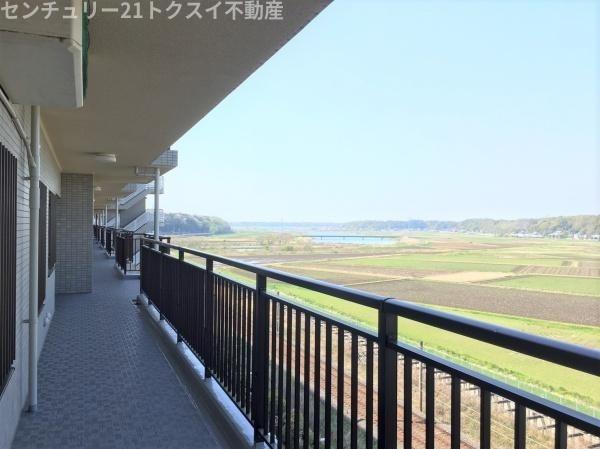モアクレストアルファス佐倉