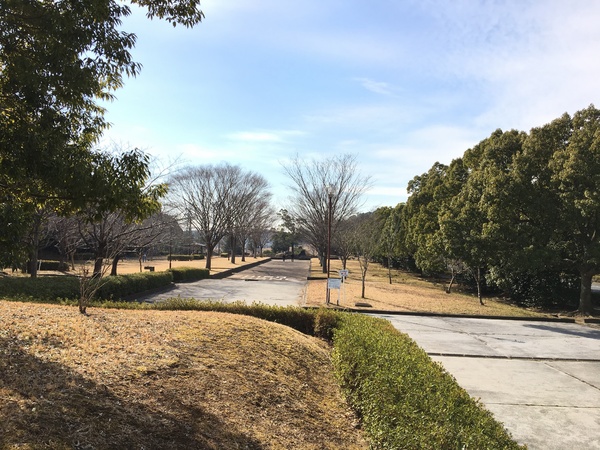 佐倉市大蛇町の土地(白銀公園)