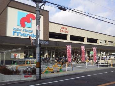 東大阪市新池島町1丁目の新築一戸建(万代六万寺店)