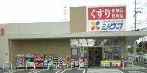 東大阪市花園東町1丁目の中古一戸建て(スーパードラッグシグマ花園店)
