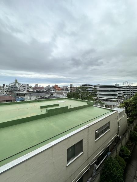 幡ヶ谷ローヤルコーポ(現地からの眺望)
