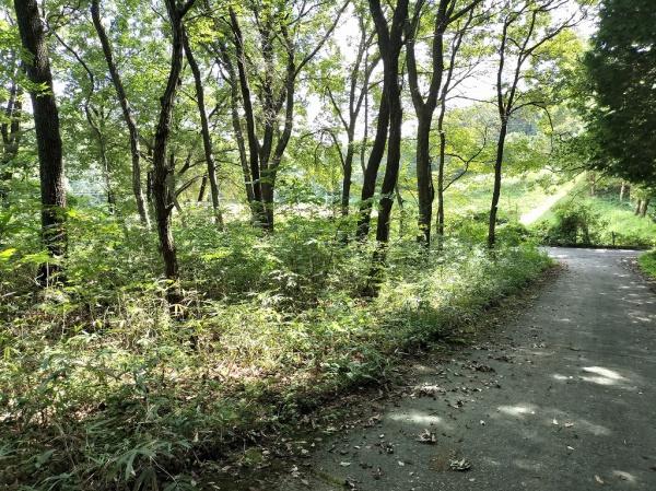 那須塩原市寺子の売土地