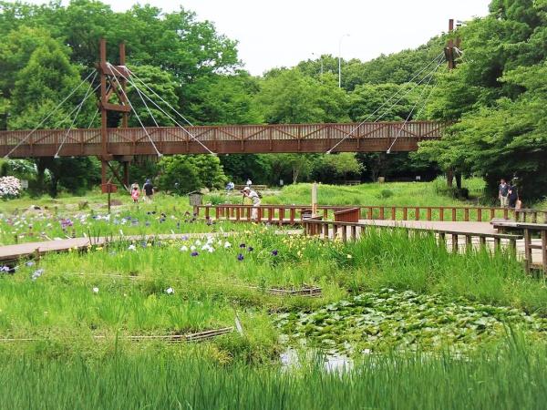 ハイネスアミティ鶴間壱番館(泉の森)