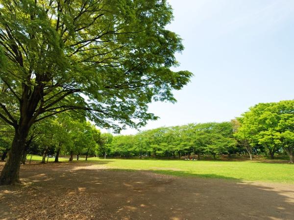 大和市草柳2丁目の中古一戸建て(引地台公園)