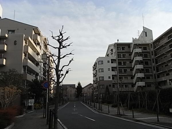 新山下ベイシティ第６号棟