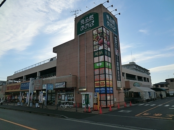 レックス相模大塚駅前(食品館あおばさがみ野店)