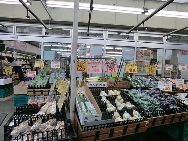 ハイライフ山手(スーパーマルトモ山元町店)