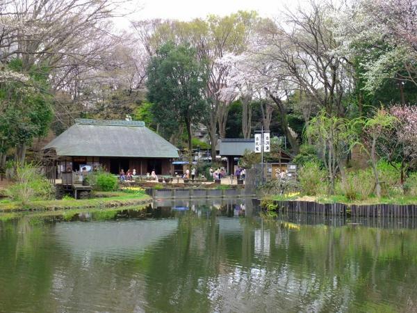 横浜市都筑区折本町の中古一戸建て(せせらぎ公園)