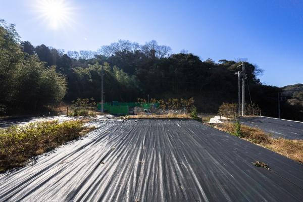 鎌倉市極楽寺１丁目の土地